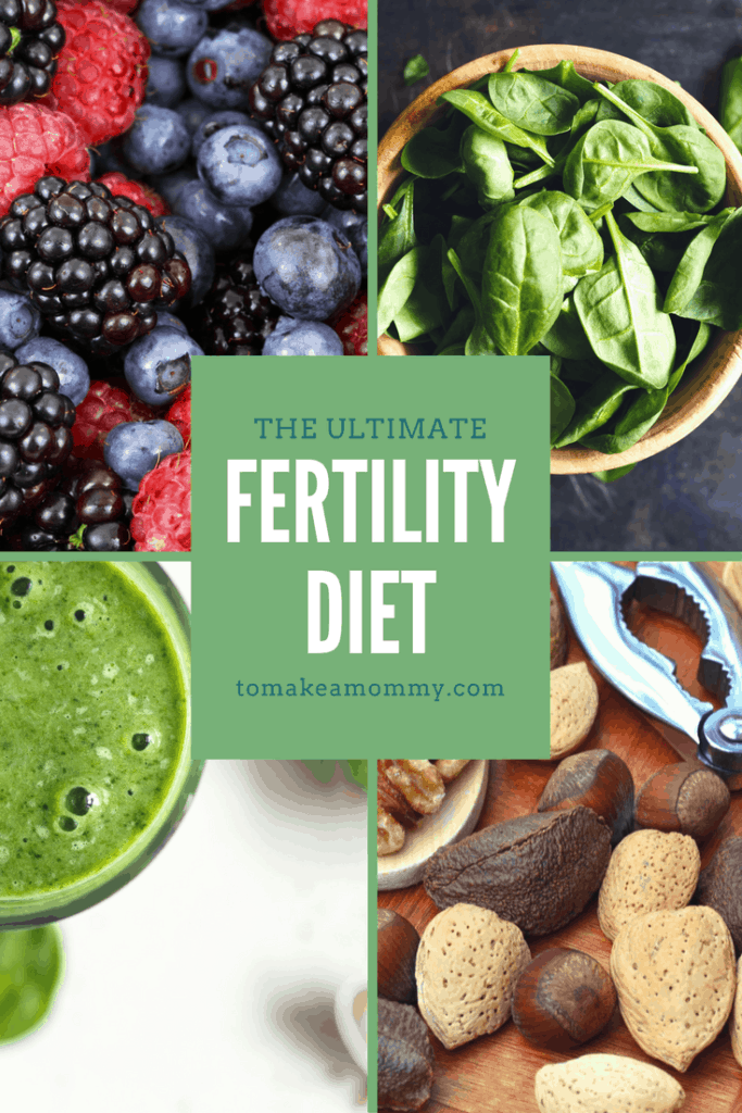 The To Make a Mommy Fertility Diet for Egg Health & Infertility