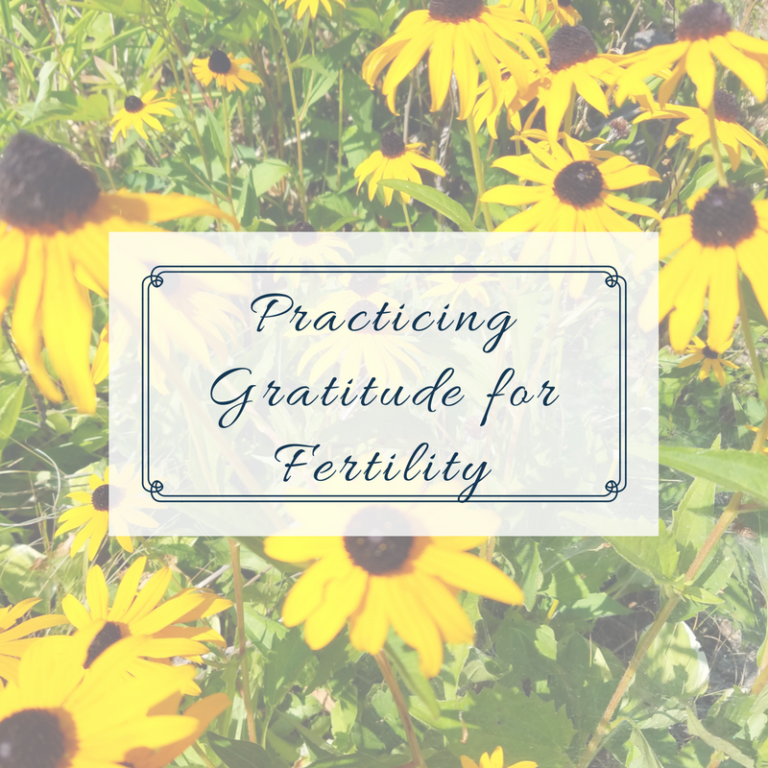 Developing a Gratitude Practice for Fertility - To Make a Mommy