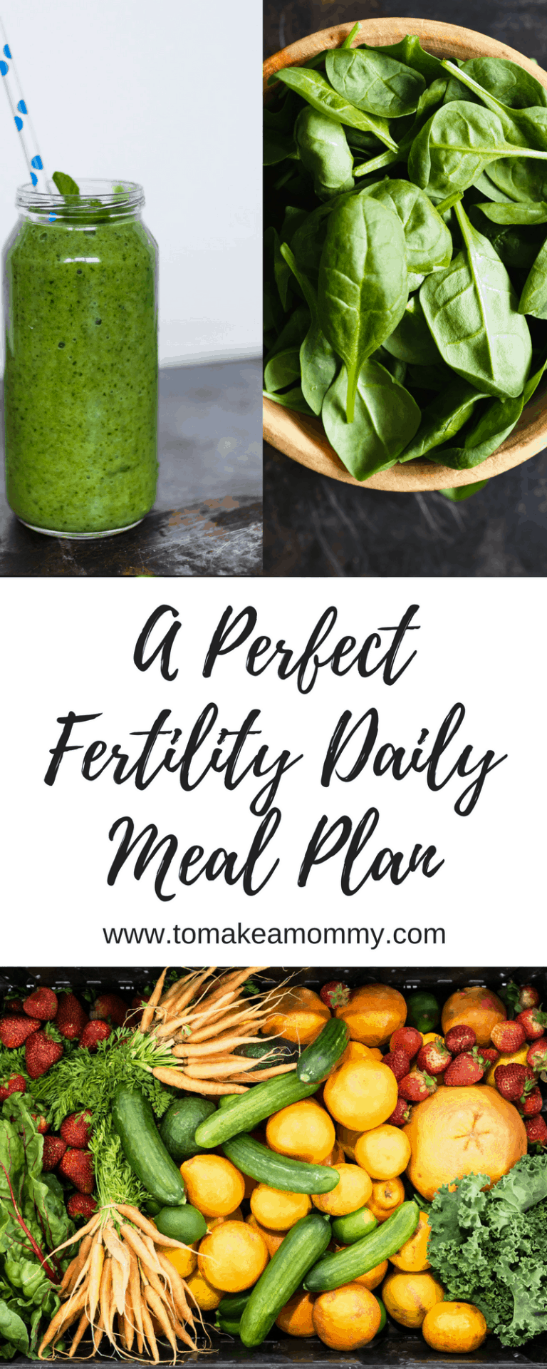 the-fertility-diet-meal-plan-that-got-me-pregnant-to-make-a-mommy